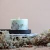 TL Candles handmade soy wax candle with forest scent, white fir, cedar, birch, and pine, mint green soy candle handmade in Latvia