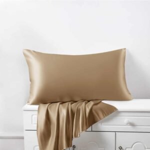 Moonsilk 22 momme mulberry silk pillowcase with zipper, 100% natural silk, OEKO-TEX certified, hypoallergenic and luxurious