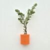 Ribble Wall Vase Orange by 5mm Paper – handmade Portuguese wall vase in beech wood with bright orange water-based finish